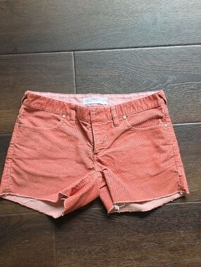 Carve Corduroy Women’s Shorts in Brick Red